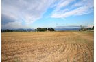 Property photo 8 - LAND & WATER RIGHTS AUCTION - 33+/- ACRES & 67 WATER UNITS/SHARES IN 26 TRACTS IN BOULDER COUNTY, CO